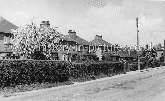 Maldon Road, Hatfield Peverel, Essex. c.1953